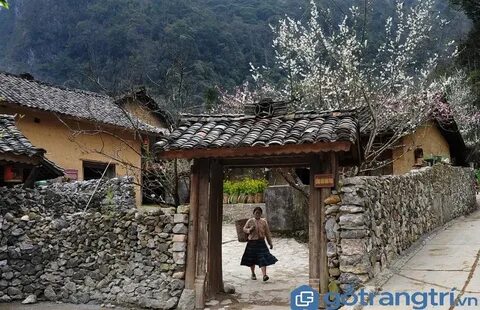 Sự Bùng Nổ Của Video Ngắn và Trí Tuệ Nhân Tạo: Vai Trò Thiết Yếu Của Đào Tạo Kỹ Năng Sáng Tạo Nội Dung